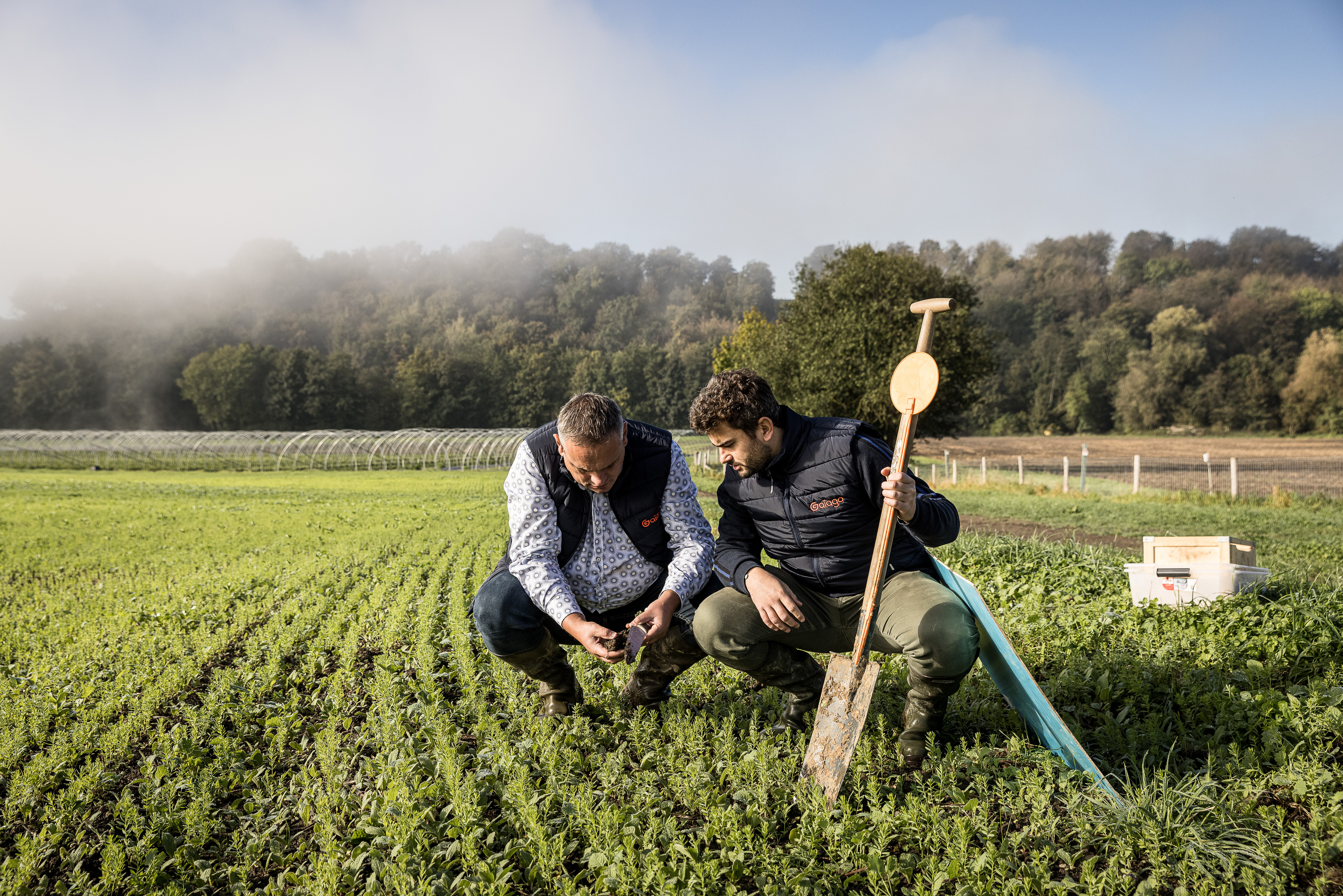 Field soil analysis by the Gaïago team
